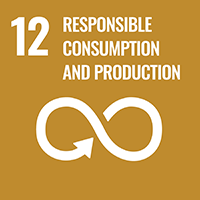 Responsible Consumption and Production, ODS 12