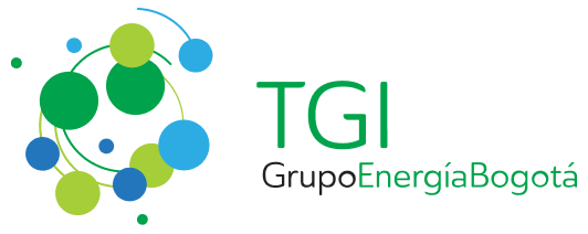 logo_tgi